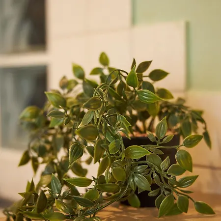 Pomegranate Luxury By Binobi! Apartament Saloniki